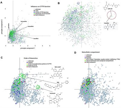 Comprehensive Analysis of Chemical Structures That Have Been Tested as CFTR Activating Substances in a Publicly Available Database CandActCFTR